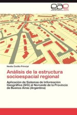 Analisis de La Estructura Socioespacial Regional