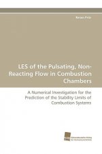 Les of the Pulsating, Non-Reacting Flow in Combustion Chambers