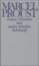 Essays, Chroniken und andere Schriften