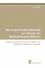 Die Innere-Punkte-Methode zur Lösung von Optimalsteuerproblemen