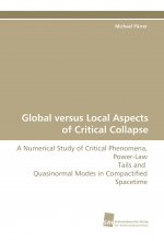 Global versus Local Aspects of Critical Collapse