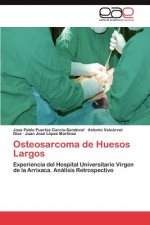 Osteosarcoma de Huesos Largos