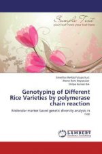 Genotyping of Different Rice Varieties by polymerase chain reaction