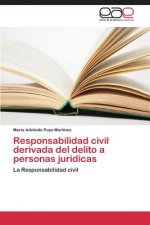 Responsabilidad civil derivada del delito a personas juridicas