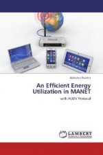 An Efficient Energy Utilization in MANET