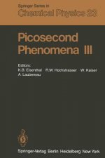 Picosecond Phenomena III