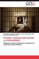 Prisión, reinserción social y criminalidad