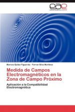 Medida de Campos Electromagneticos en la Zona de Campo Proximo