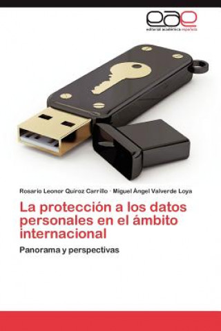 Proteccion a Los Datos Personales En El Ambito Internacional