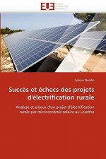 Succ s Et  checs Des Projets d'' lectrification Rurale