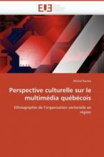Perspective culturelle sur le multimédia québécois