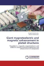 Giant magnetoelectric and magnetic enhancement in plated structures