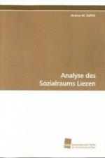 Analyse des Sozialraums Liezen