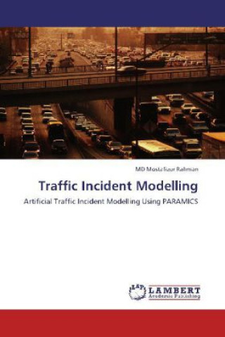 Traffic Incident Modelling