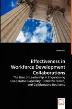 Effectiveness in Workforce Development Collaborations - The Role of Leadership in Engendering Cooperative Capability, Collective Vision, and Collabora