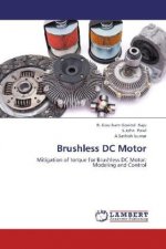 Brushless DC Motor