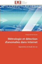 M trologie Et D tection d'Anomalies Dans Internet