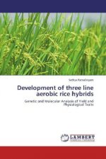 Development of three line aerobic rice hybrids