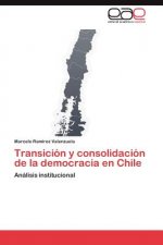 Transicion y consolidacion de la democracia en Chile