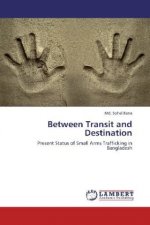 Between Transit and Destination