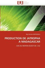 Production de Jatropha   Madagascar