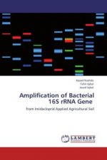 Amplification of Bacterial 16S rRNA Gene