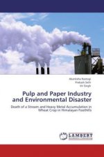 Pulp and Paper Industry and Environmental Disaster