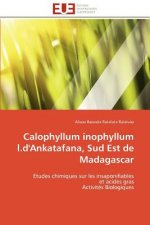 Calophyllum Inophyllum L.d'Ankatafana, Sud Est de Madagascar