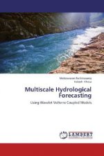 Multiscale Hydrological Forecasting