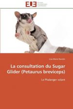 La Consultation Du Sugar Glider (Petaurus Breviceps)