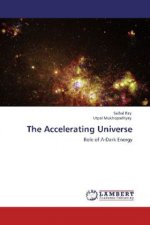 The Accelerating Universe