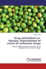 Drug antioxidant co-therapy: Improvement of action of anticancer drugs