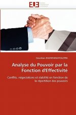 Analyse Du Pouvoir Par La Fonction d'Effectivit