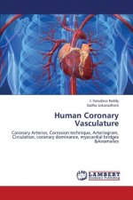 Human Coronary Vasculature