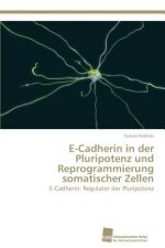 E-Cadherin in der Pluripotenz und Reprogrammierung somatischer Zellen