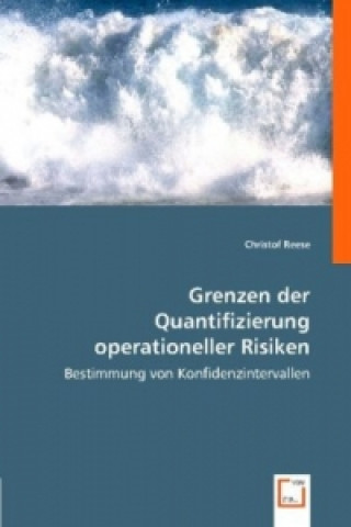 Grenzen der Quantifizierung operationeller Risiken