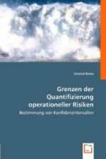 Grenzen der Quantifizierung operationeller Risiken