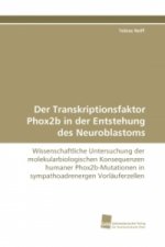 Der Transkriptionsfaktor Phox2b in der Entstehung des Neuroblastoms