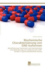Biochemische Charakterisierung von GNE-Isoformen