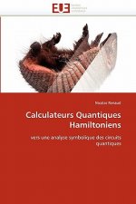 Calculateurs quantiques hamiltoniens