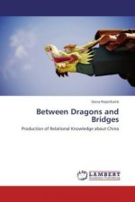 Between Dragons and Bridges