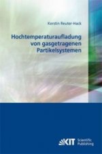 Hochtemperaturaufladung von gasgetragenen Partikelsystemen