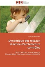 Dynamique des reseaux d actine d architecture controlee