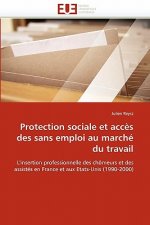 Protection Sociale Et Acc s Des Sans Emploi Au March  Du Travail