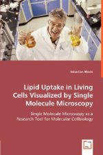 Lipid Uptake in Living Cells Visualized by Single Molecule Microscopy