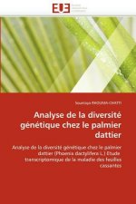 Analyse de la diversite genetique chez le palmier dattier