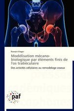 Modelisation Mecano-Biologique Par Elements Finis de l'Os Trabeculaire