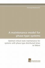 Maintenance Model for Phase-Type Systems