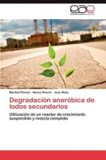 Degradacion Anarobica de Lodos Secundarios