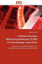 Cellules Souches M senchymateuses (Csm) Et Remodelage Vasculaire